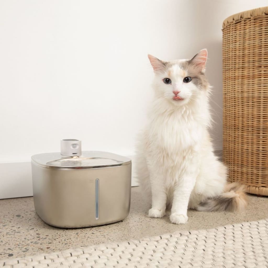 The Purrfect Flow™ - Cat Drinking Fountain