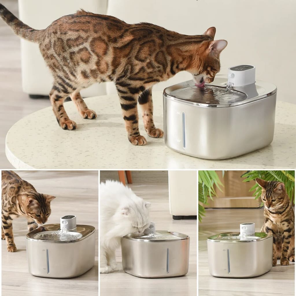 The Purrfect Flow™ - Cat Drinking Fountain