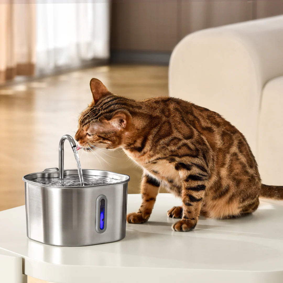 The Purrfect Flow™ - Cat Drinking Fountain
